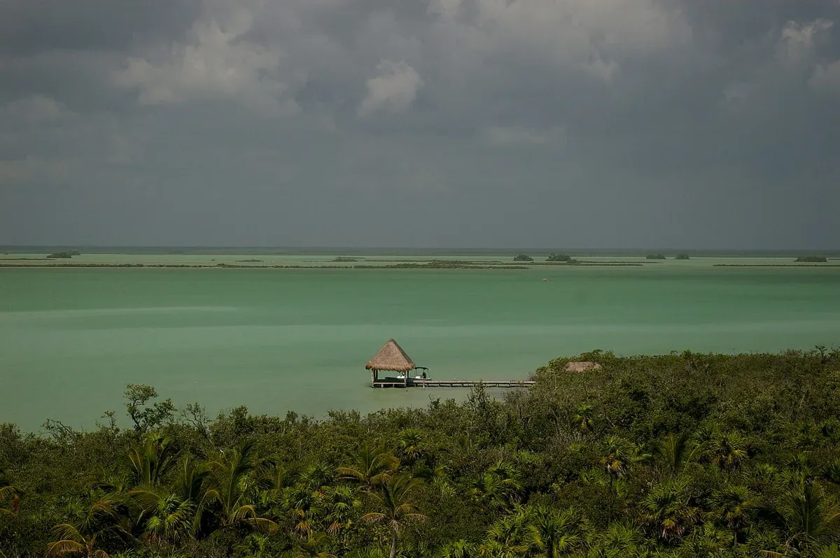 Mangrove channels and open lagoon in the Sian Ka'an biosphere reserve south of Tulum, Mexico